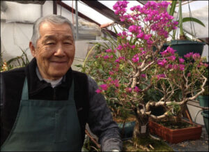 Hal Sasaki - Bonsai Master